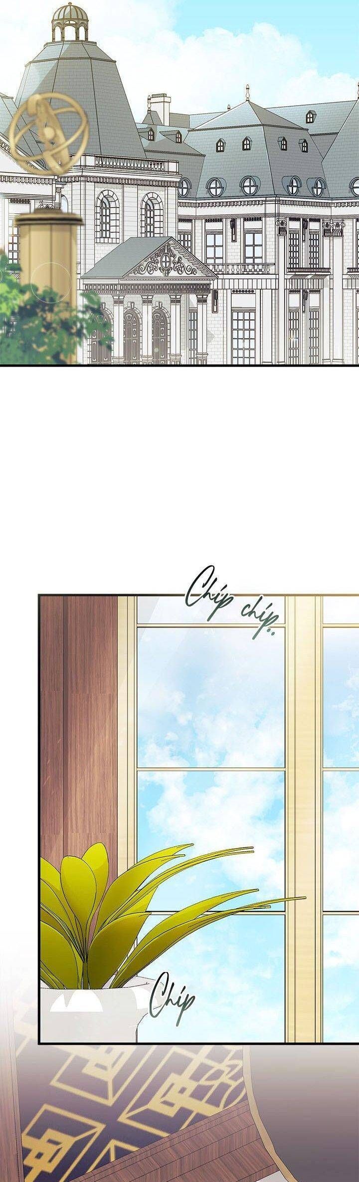 page_29
