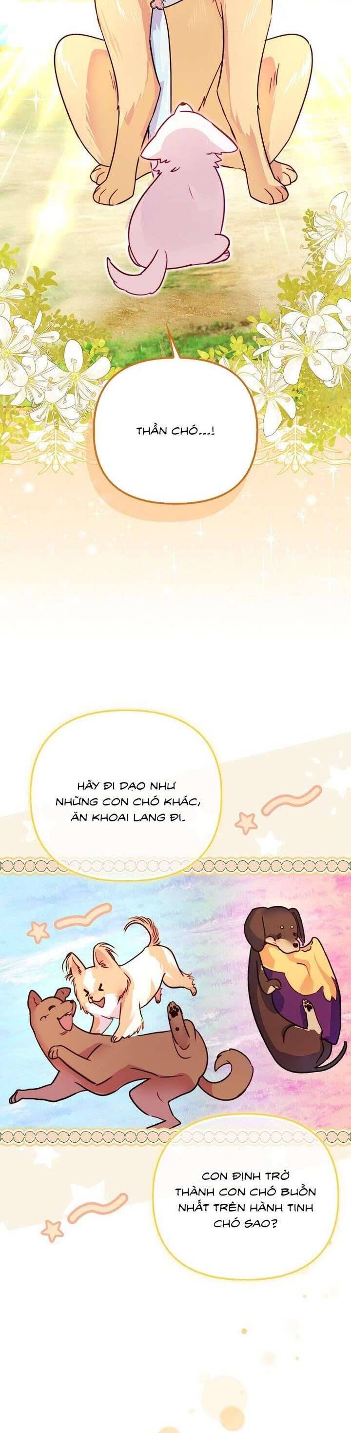 page_27