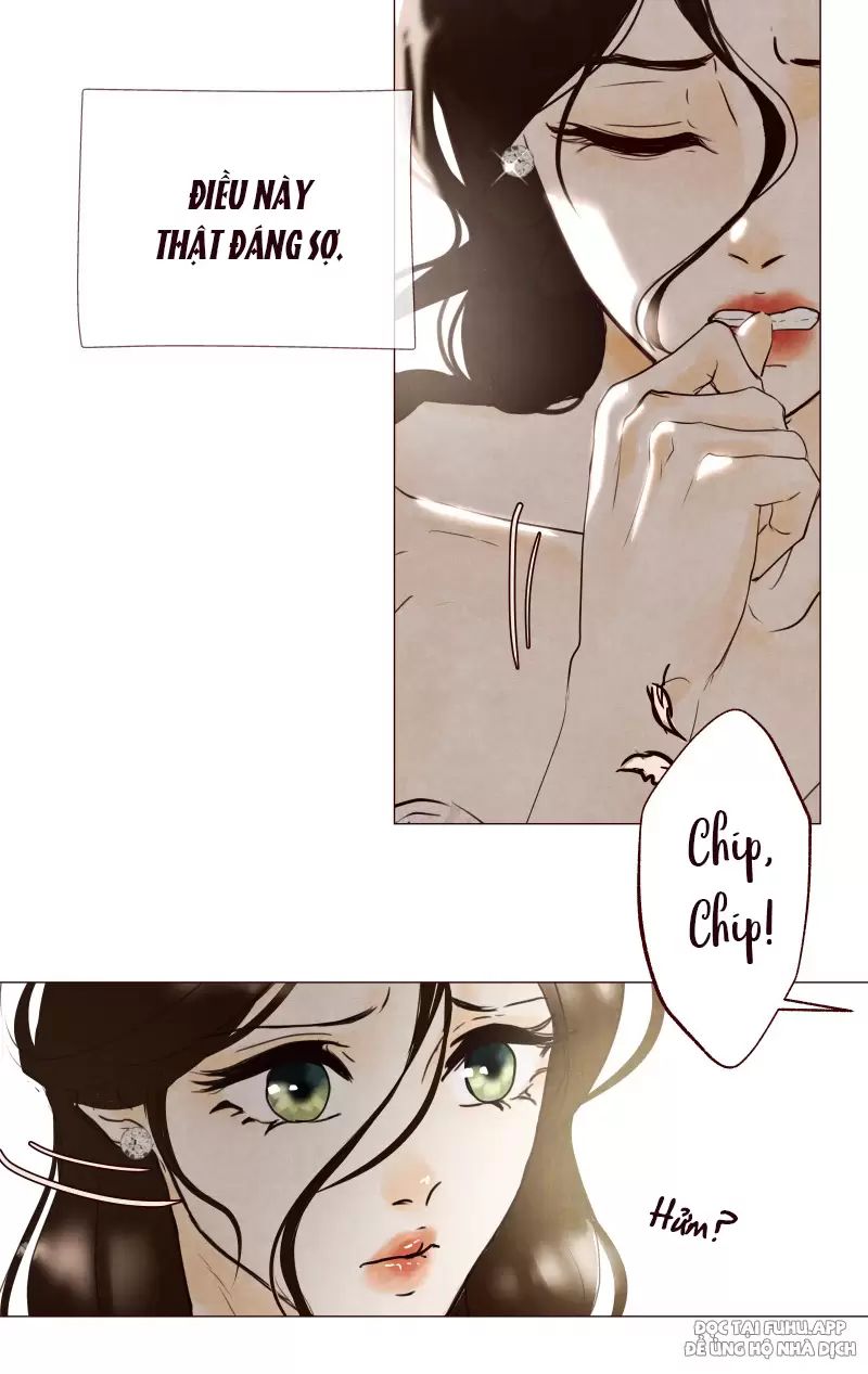 page_28