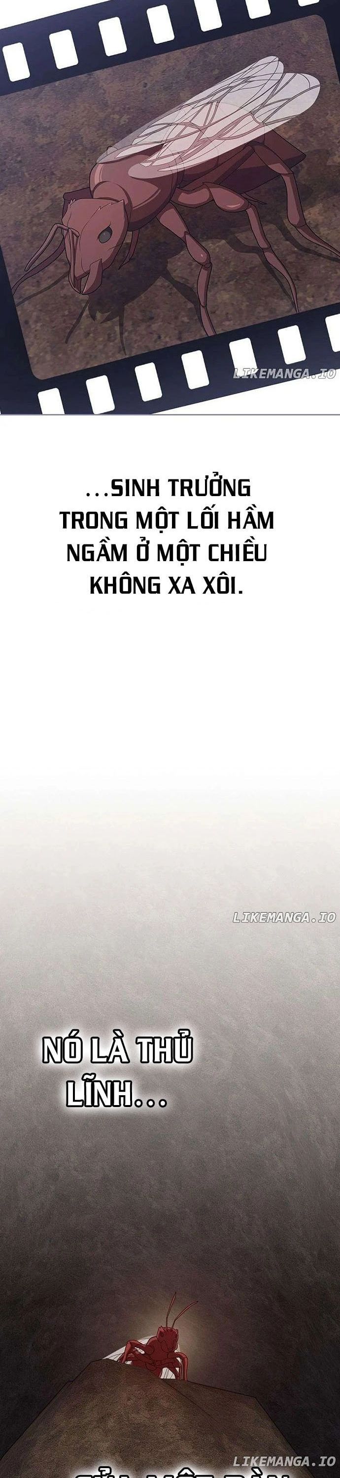 page_19