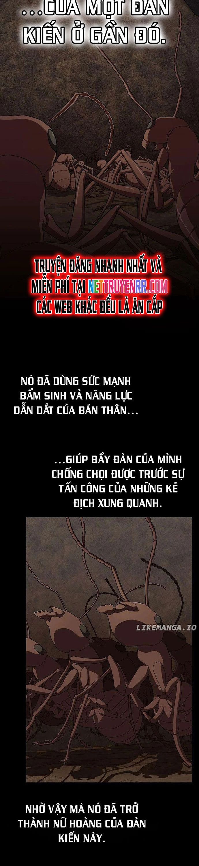 page_20