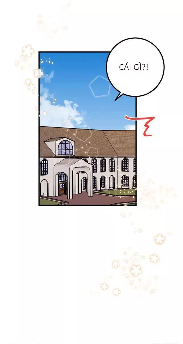 page_23