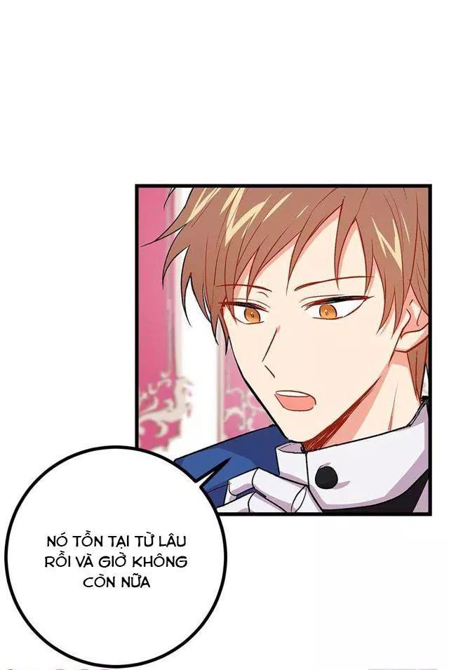 page_29