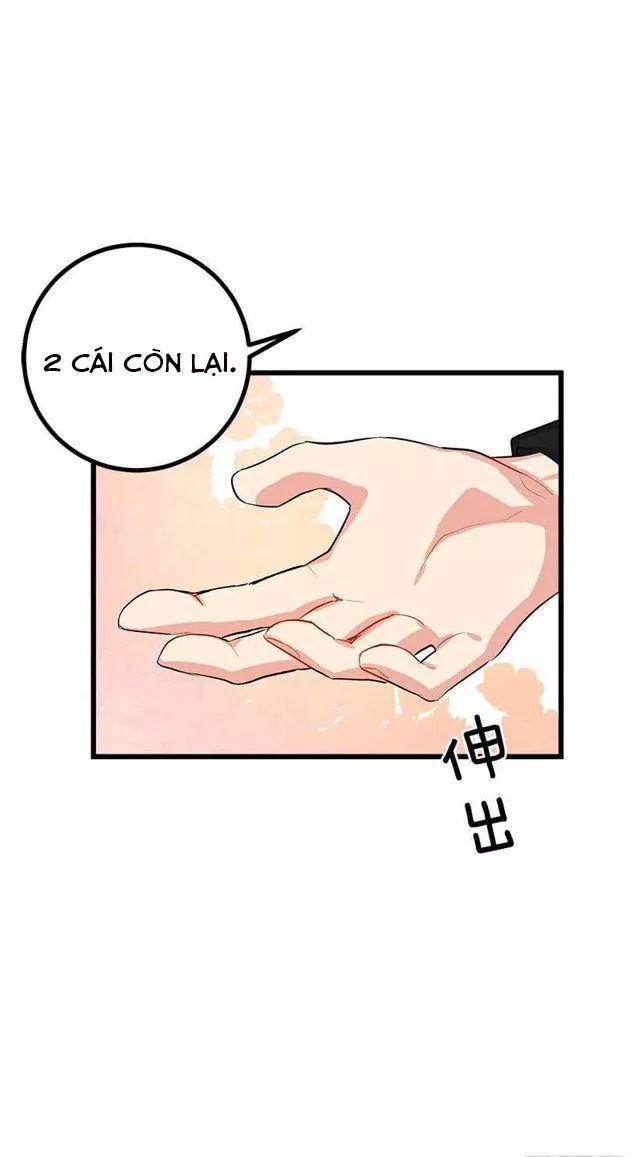 page_29