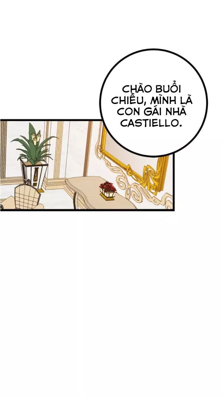 page_19