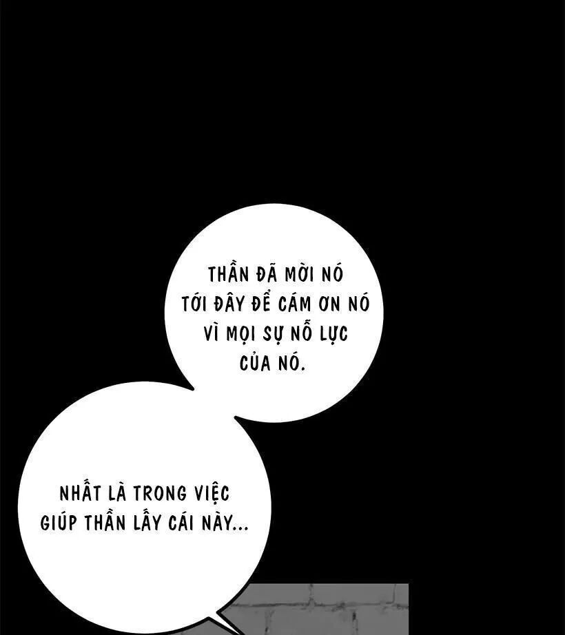 page_46