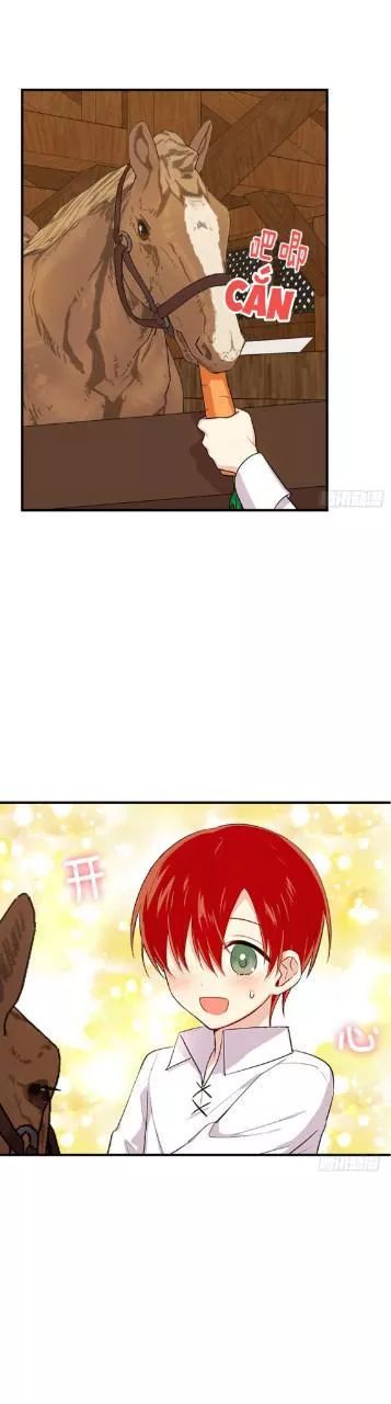page_17