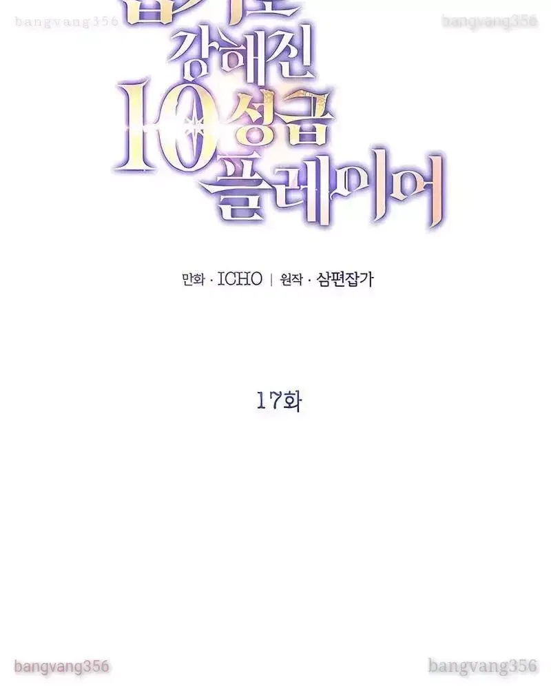page_17