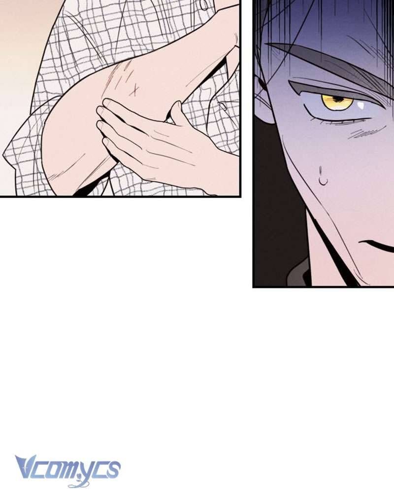 page_221