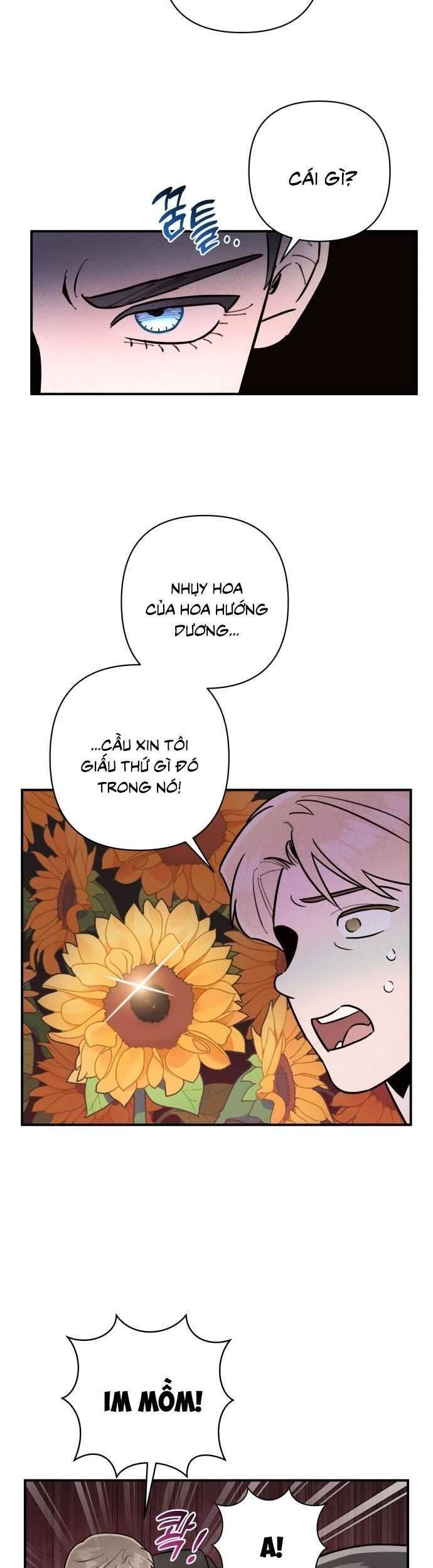 page_29