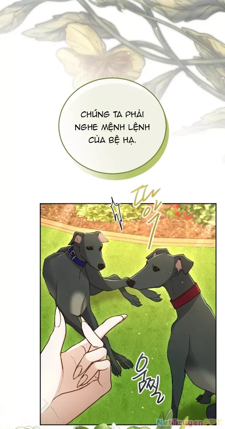 page_29
