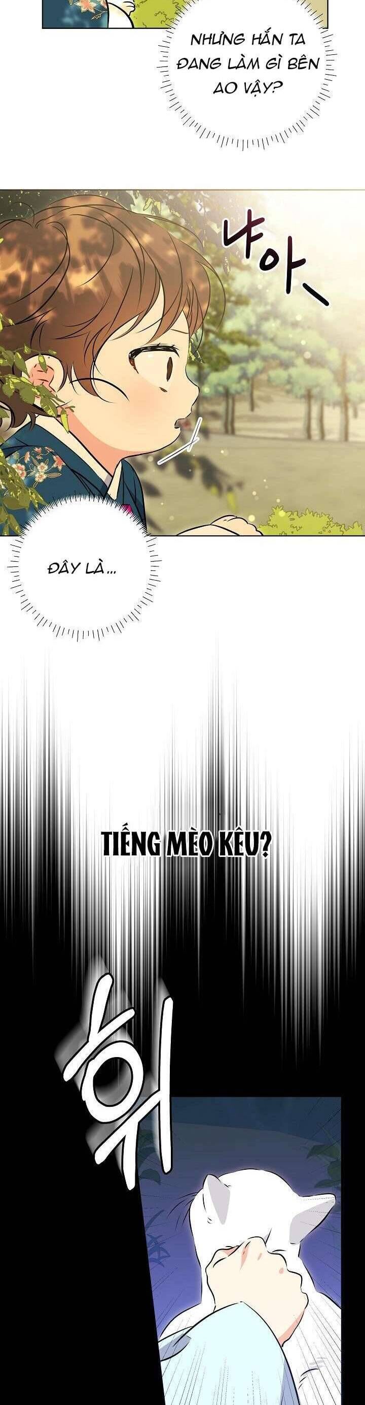 page_31