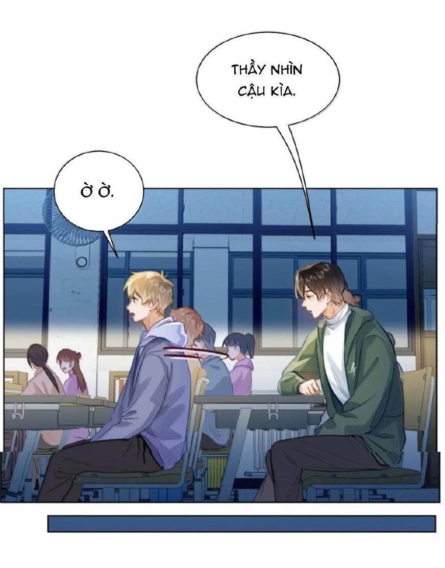 page_13