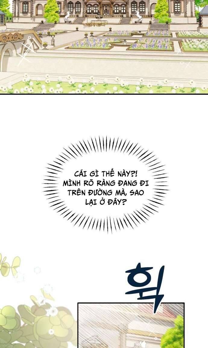 page_29
