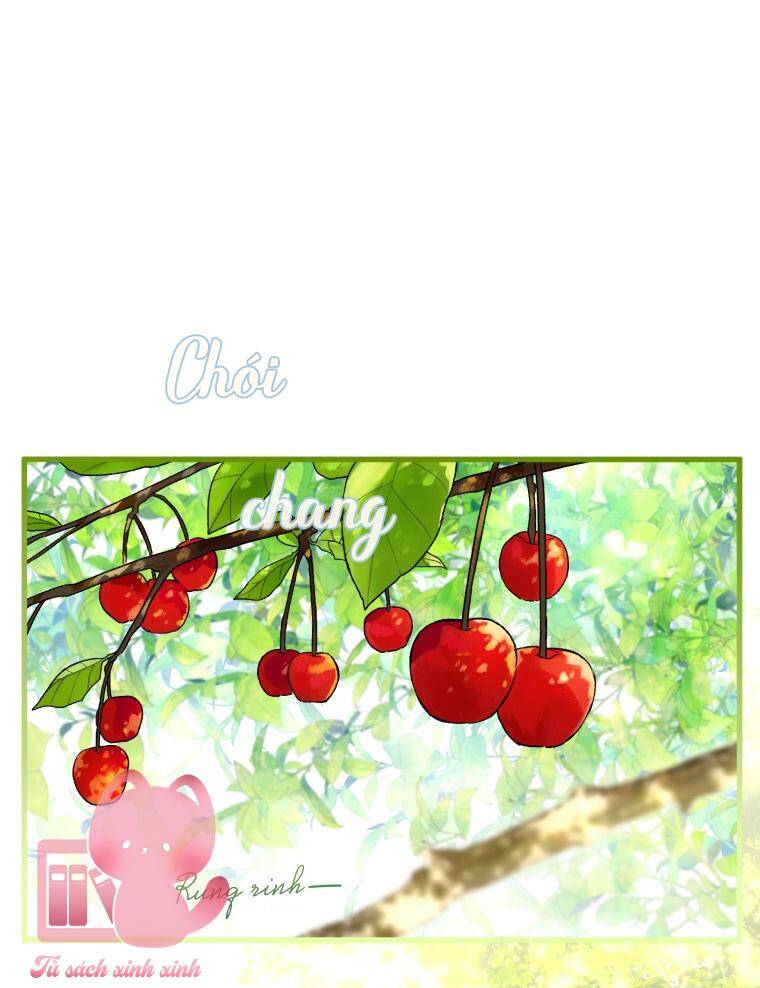 page_17