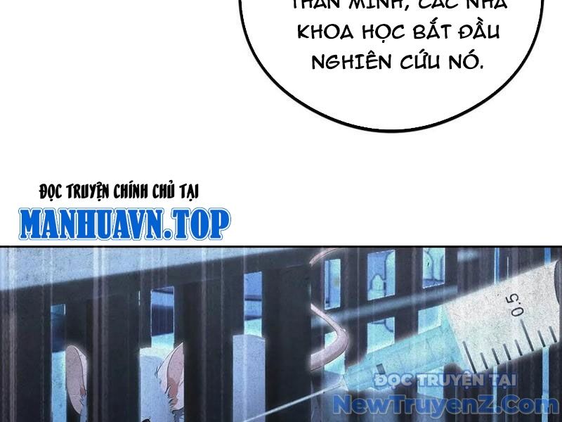 page_31