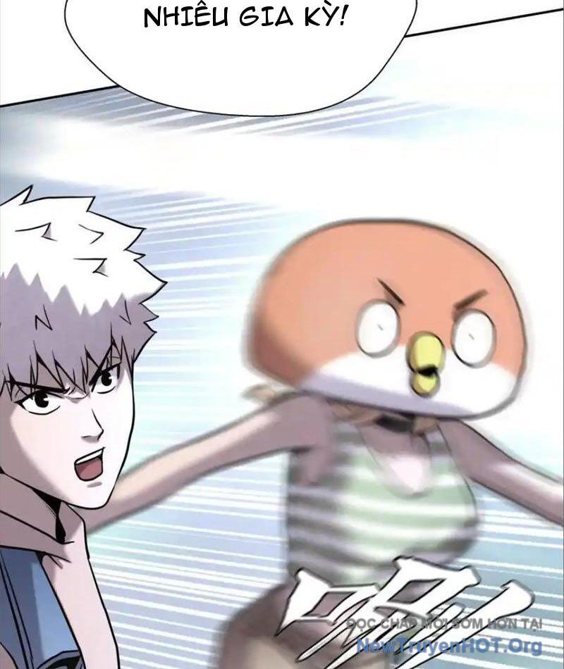 page_81