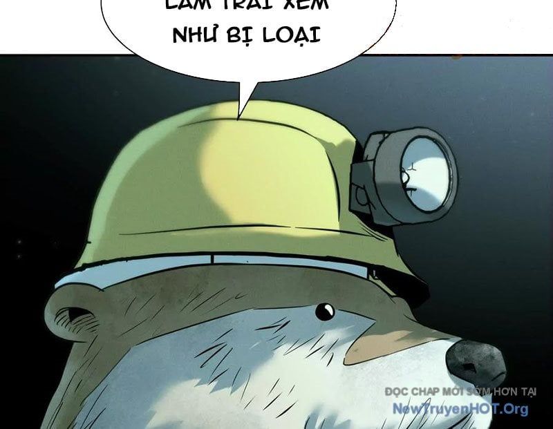 page_51
