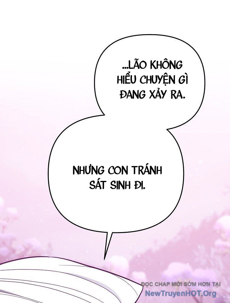 page_29