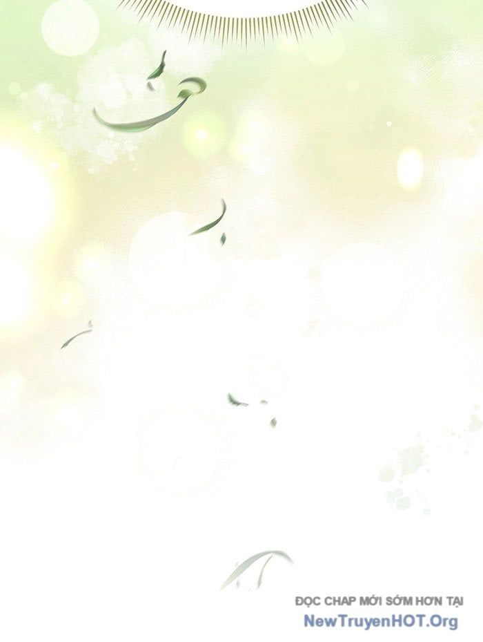 page_29