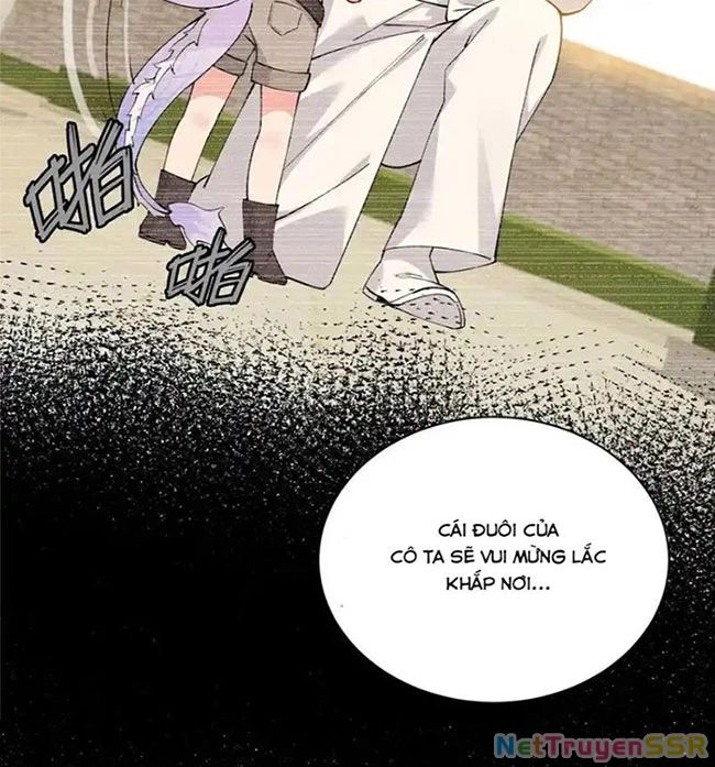 page_29