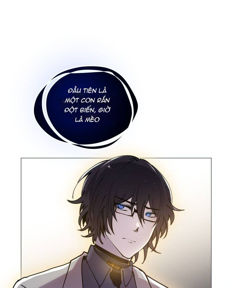 page_46