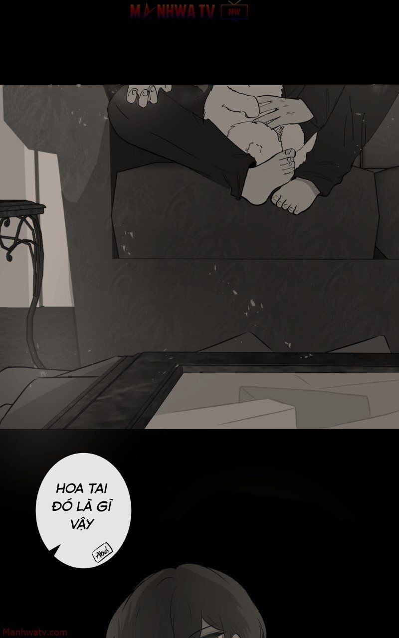 page_37