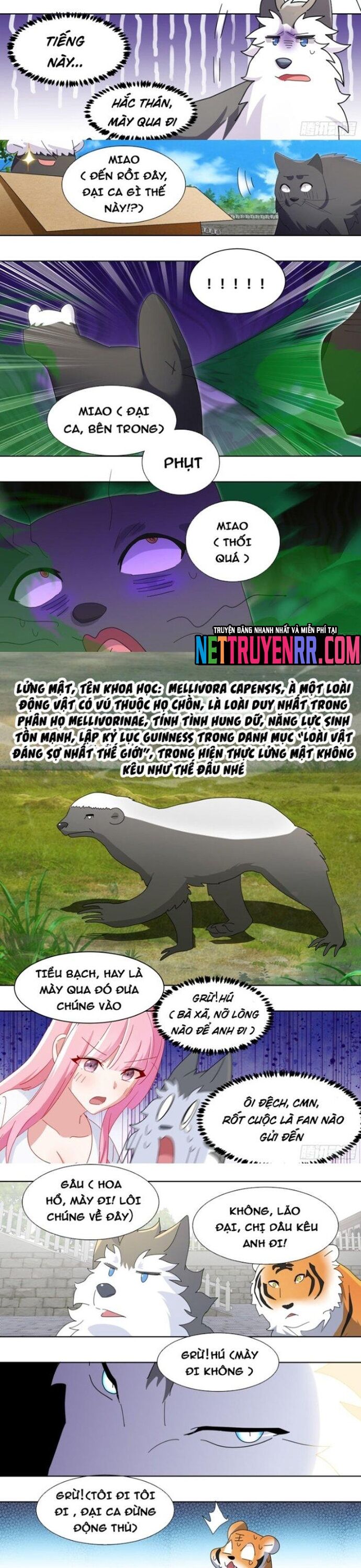 page_1