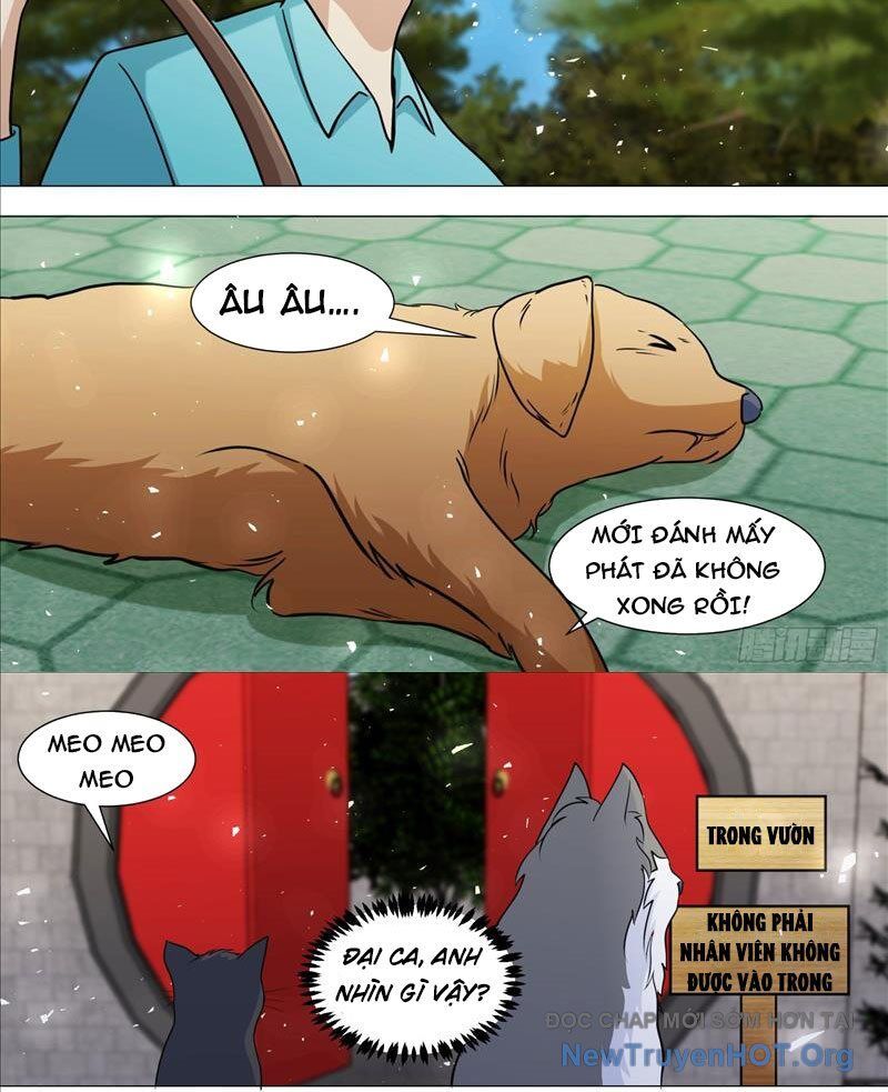 page_5