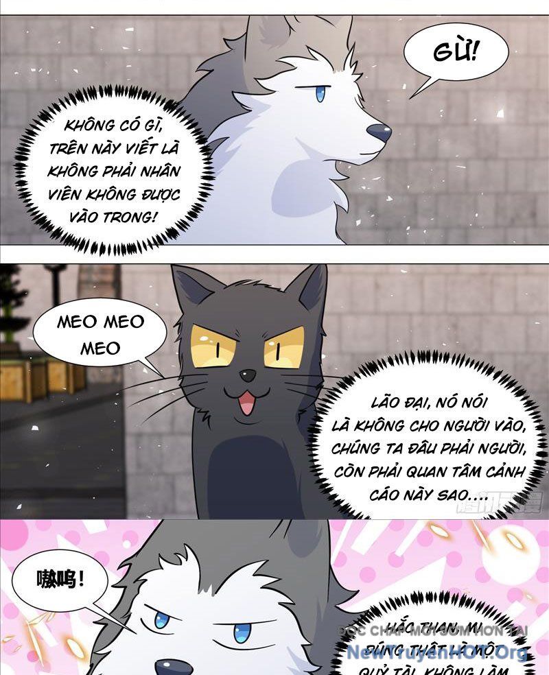page_6