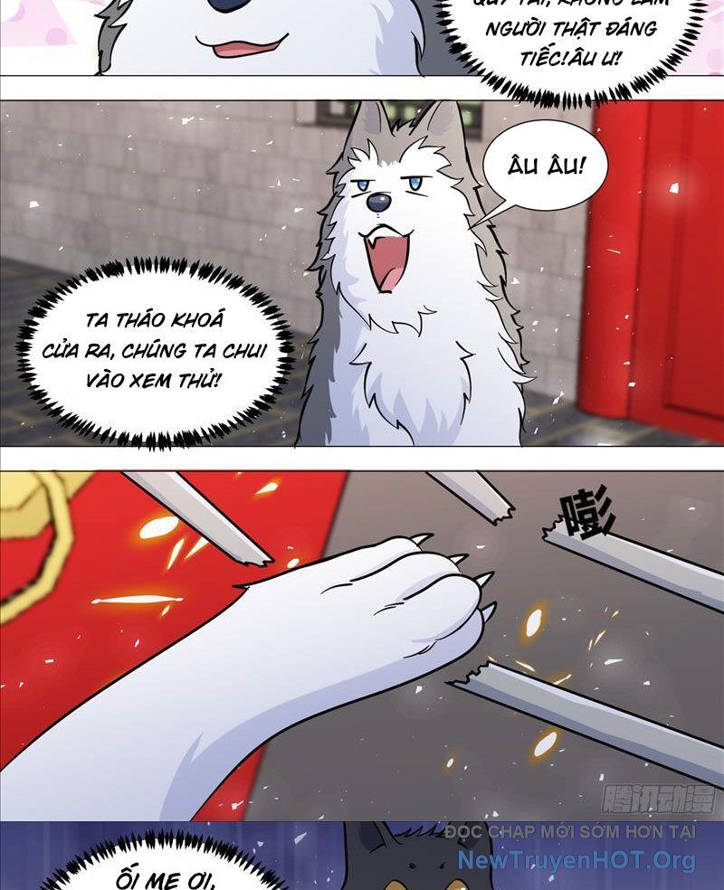 page_7