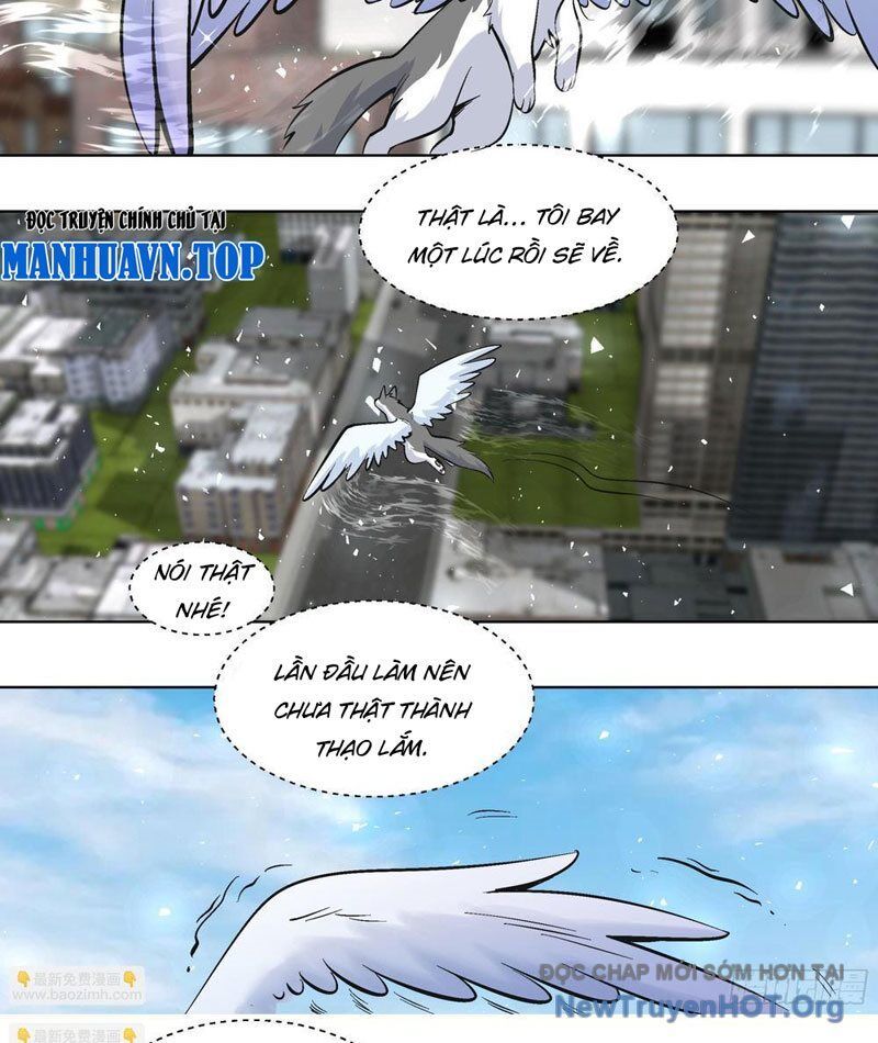 page_6