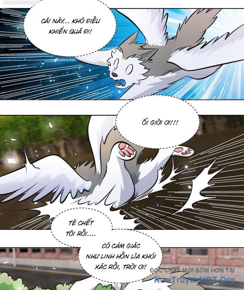 page_7