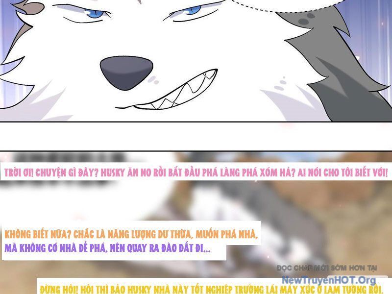 page_17