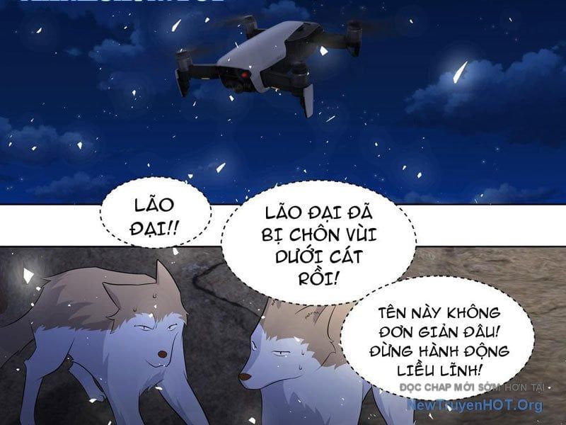 page_16