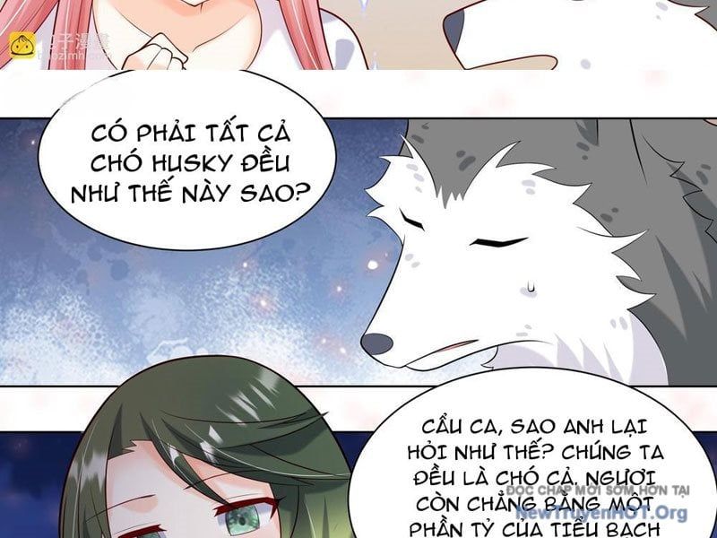 page_17