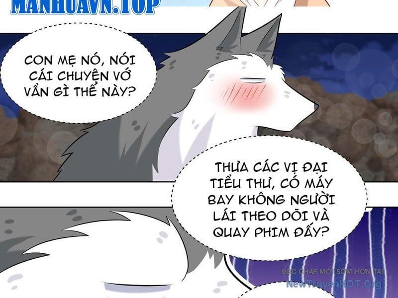 page_19
