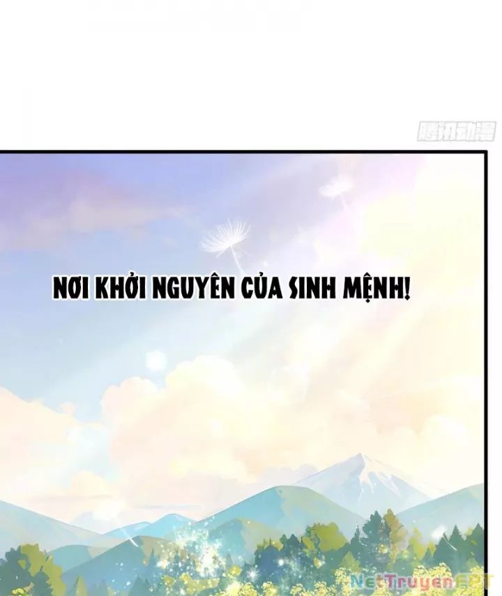 page_29