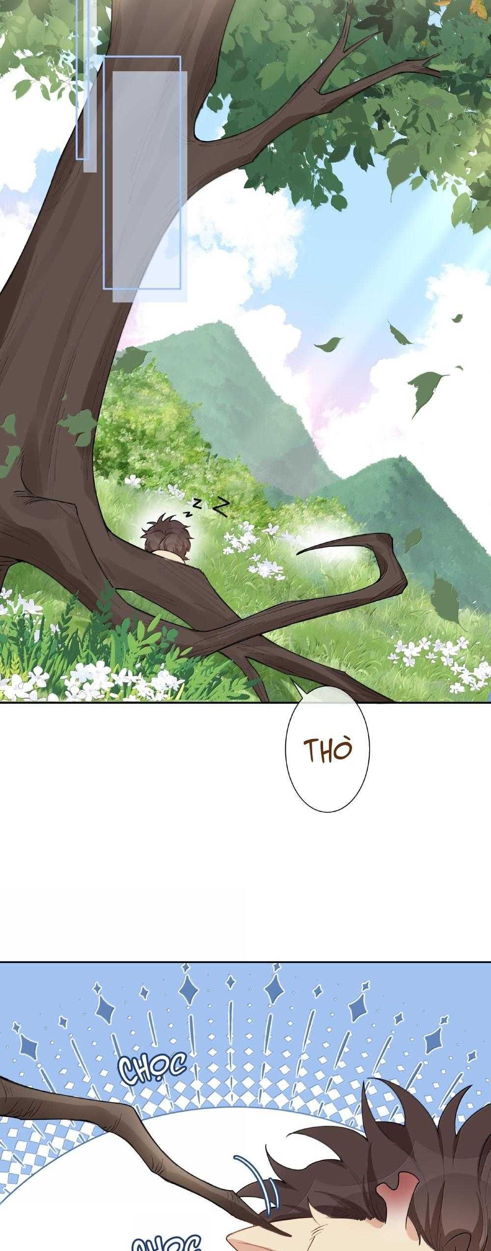 page_15