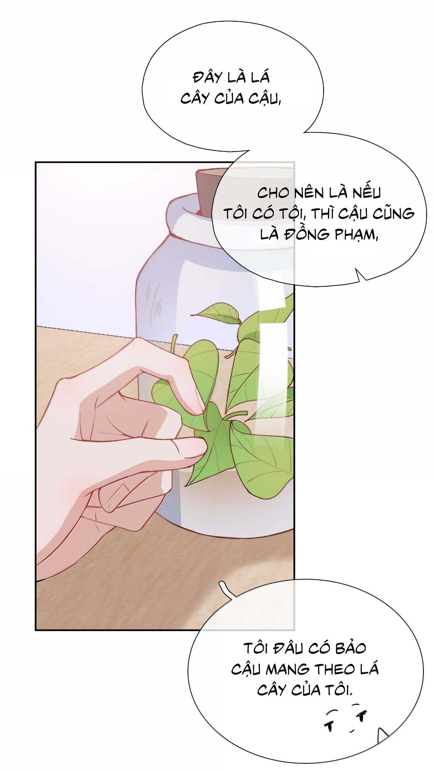 page_17