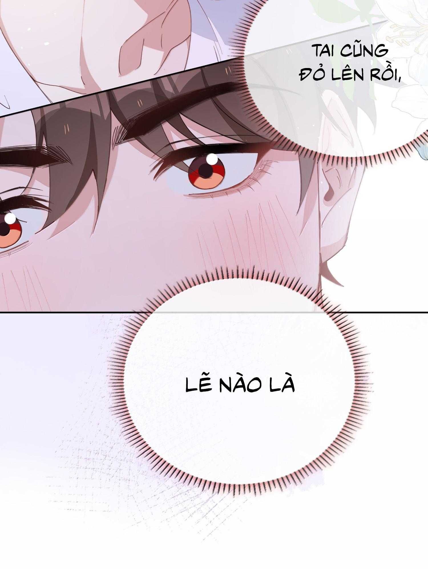 page_16