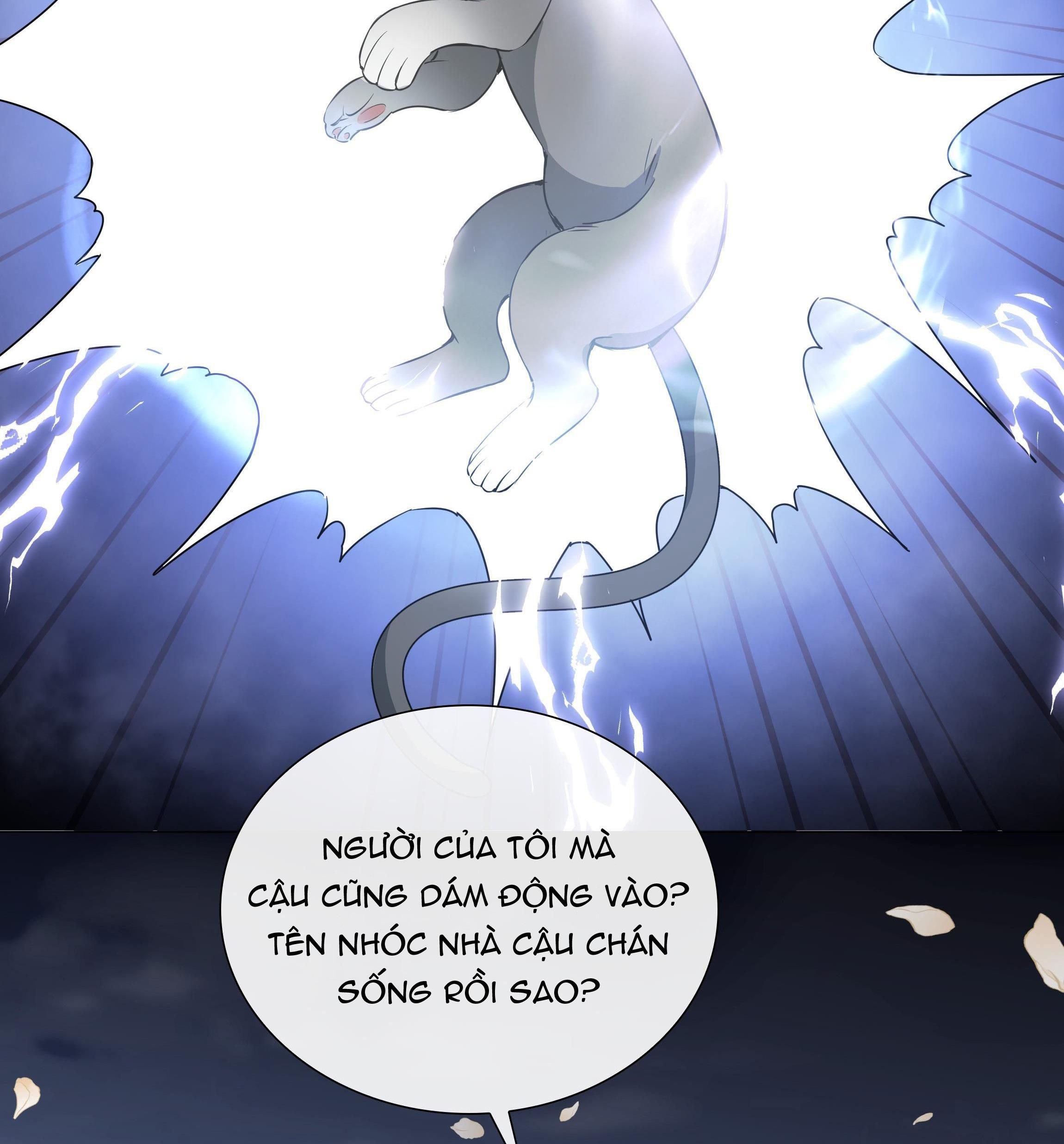 page_11