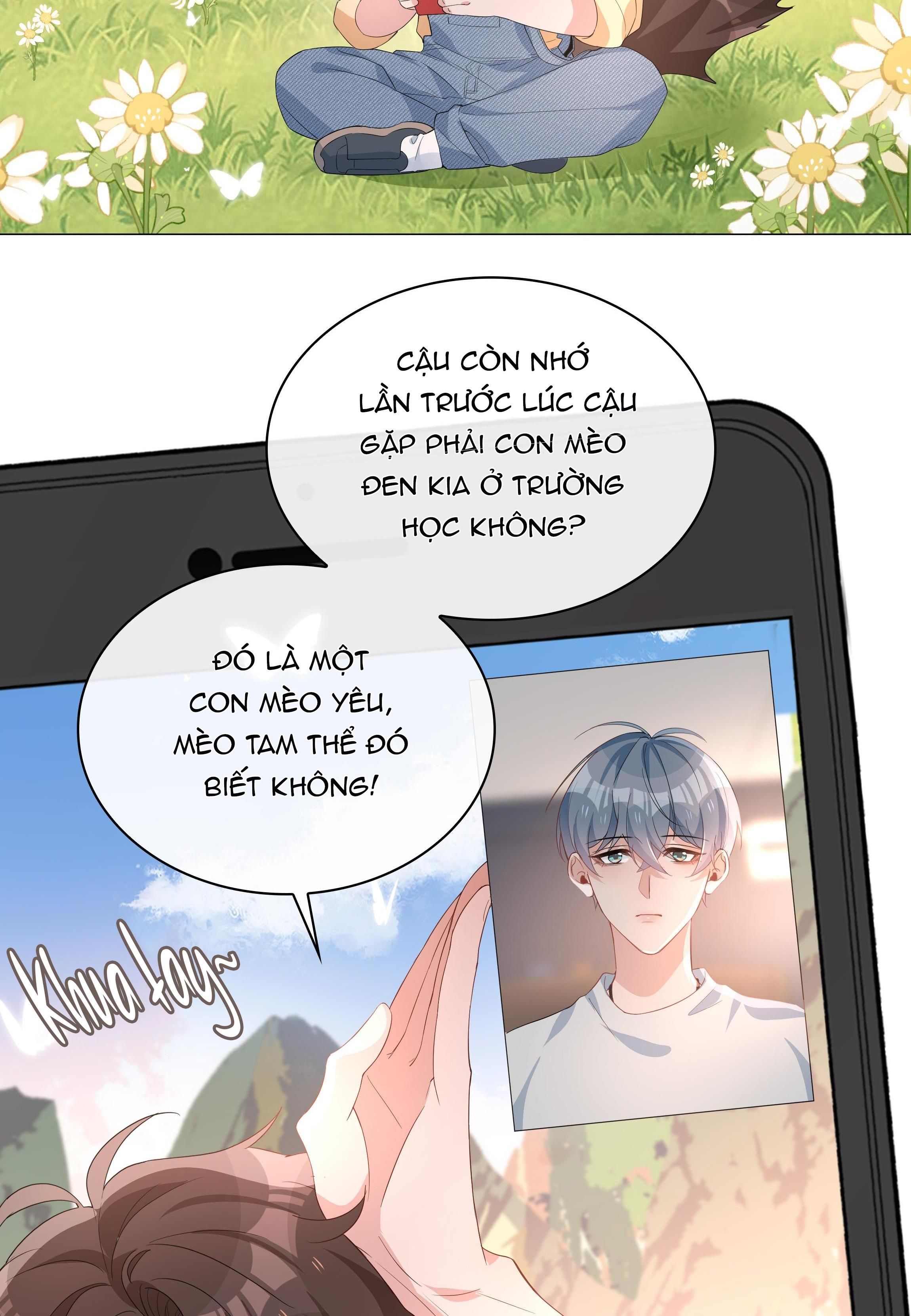 page_6