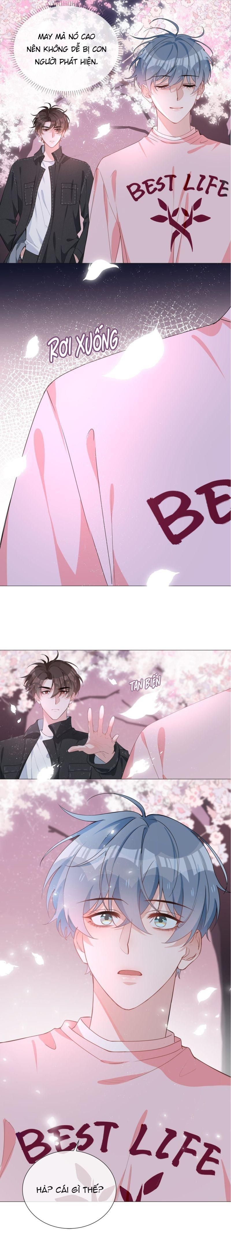 page_5