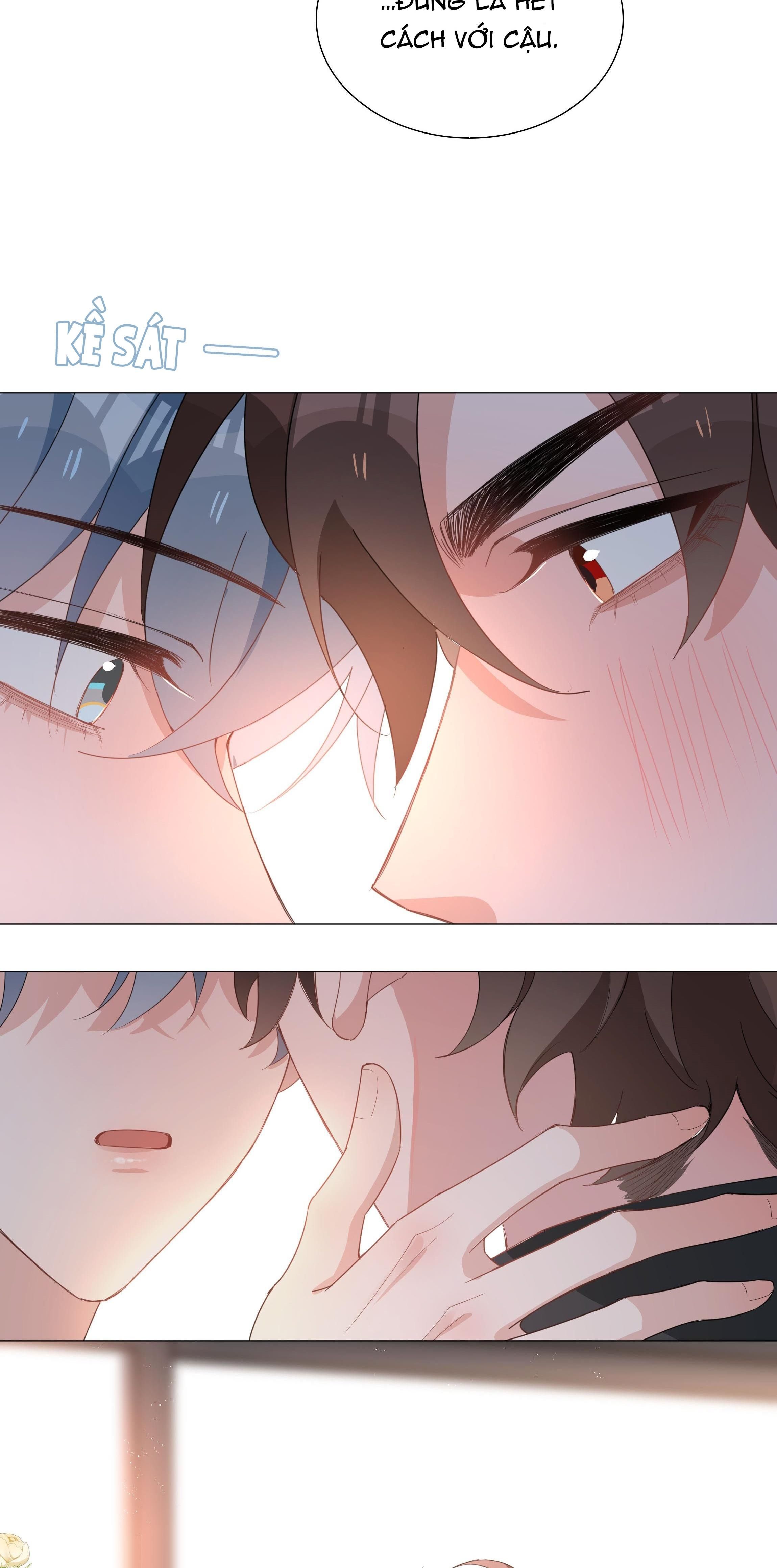 page_29
