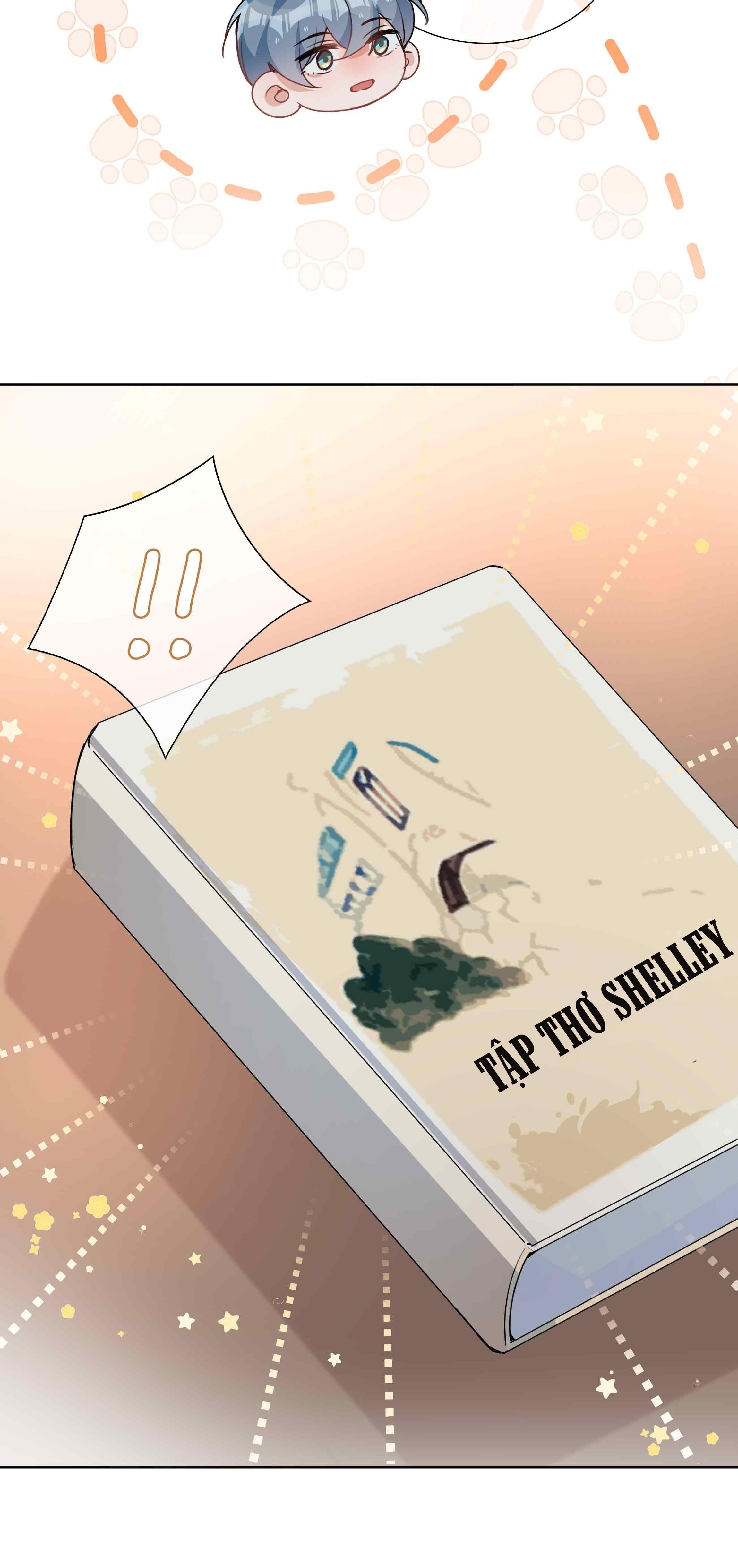 page_21