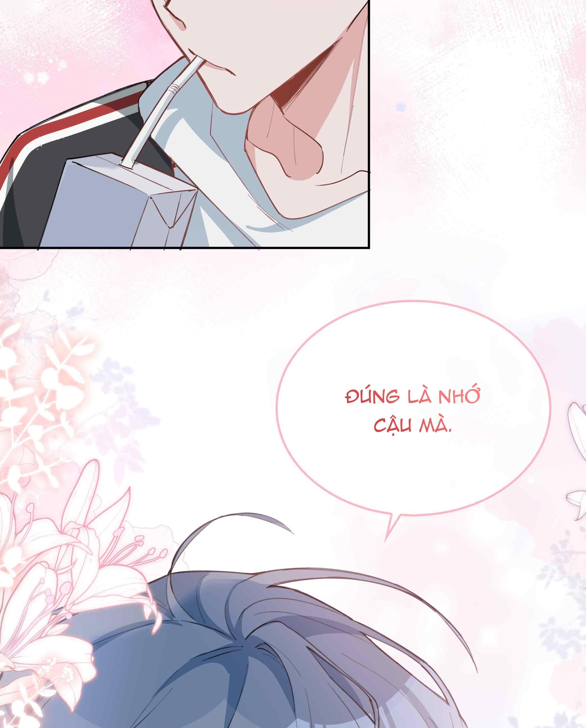 page_4