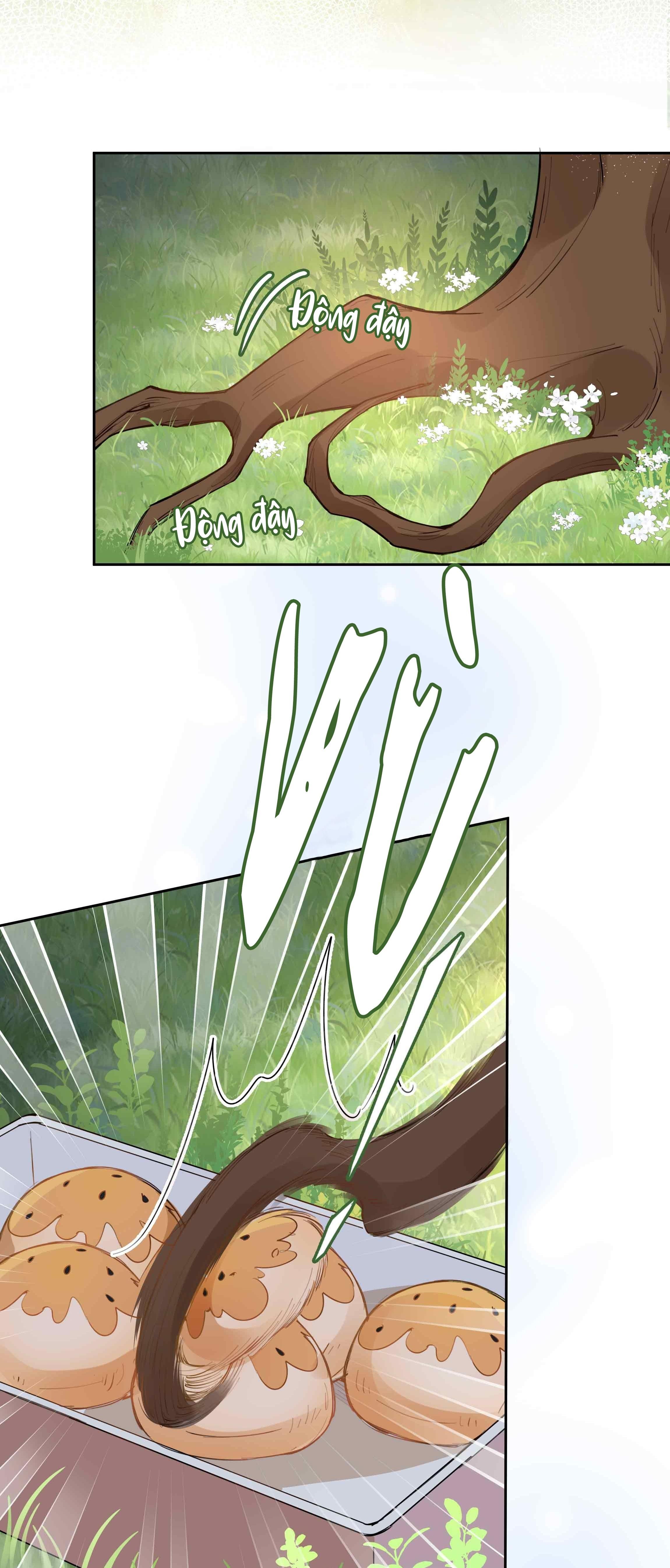 page_25