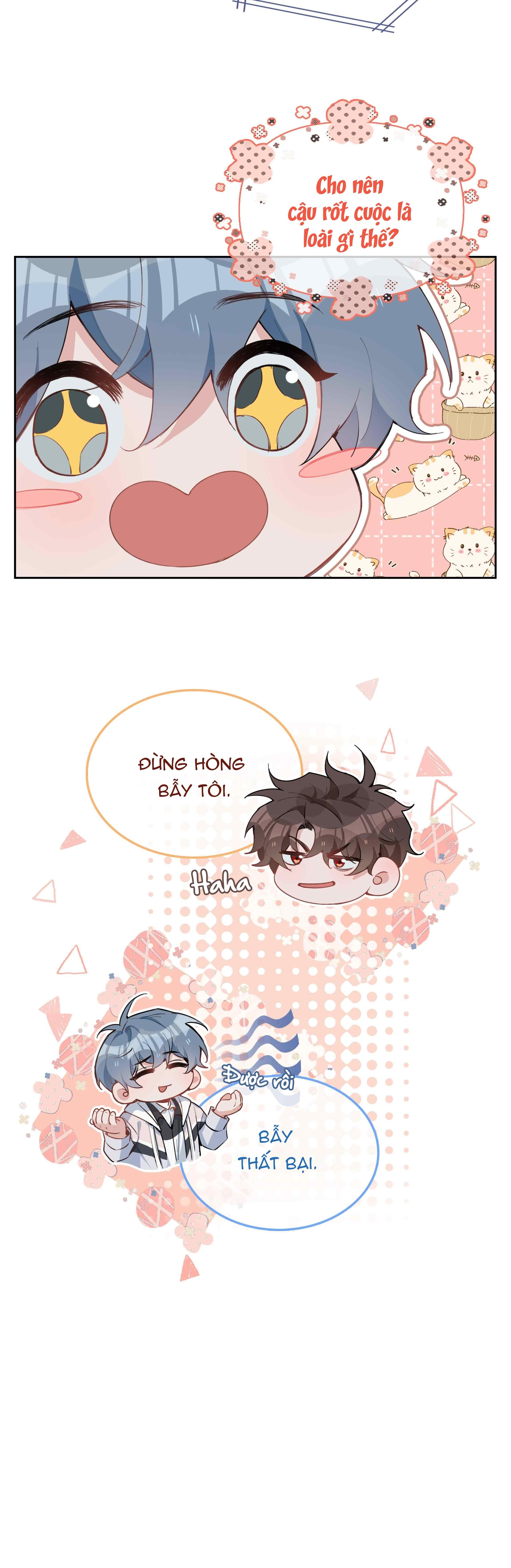 page_6