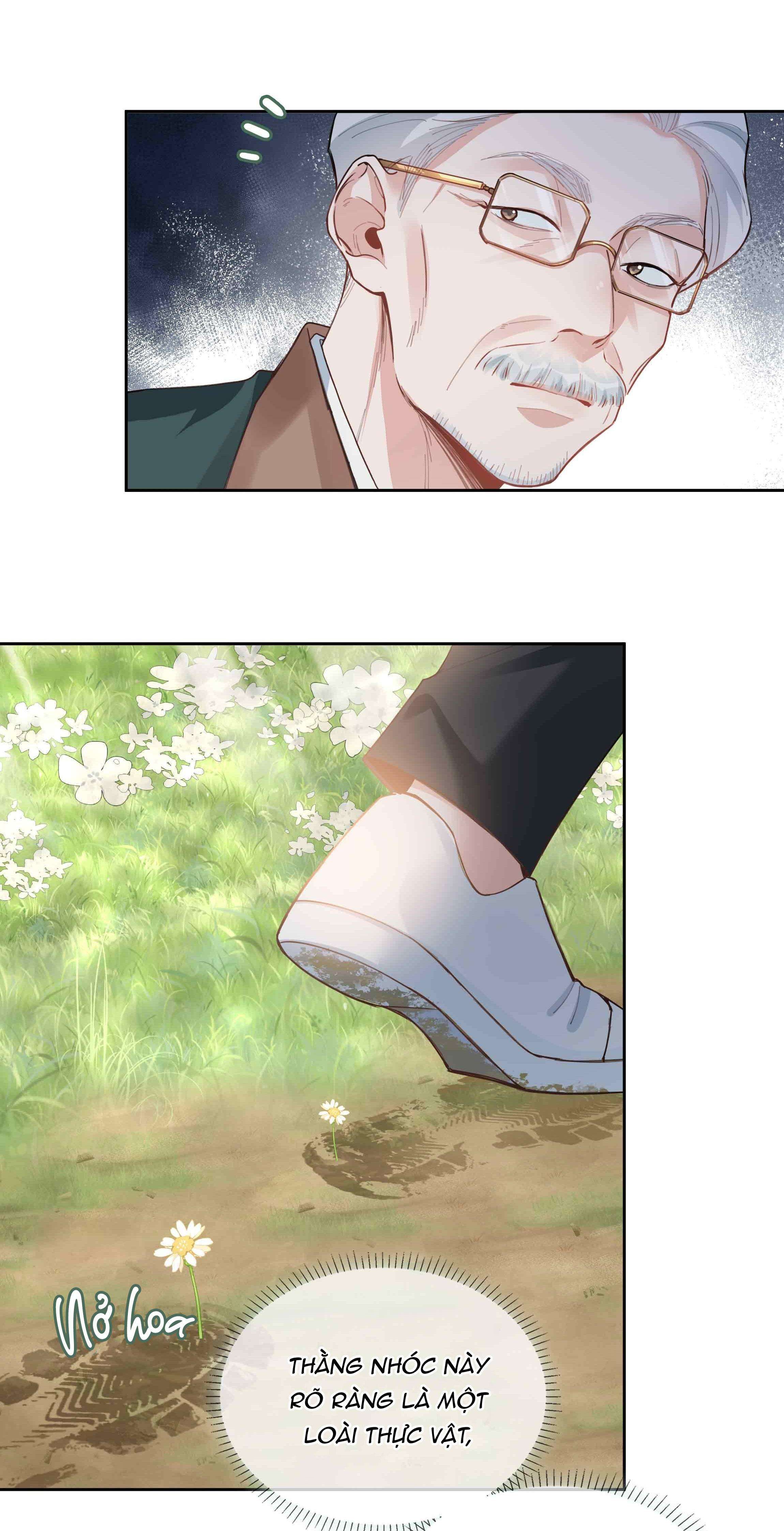 page_17